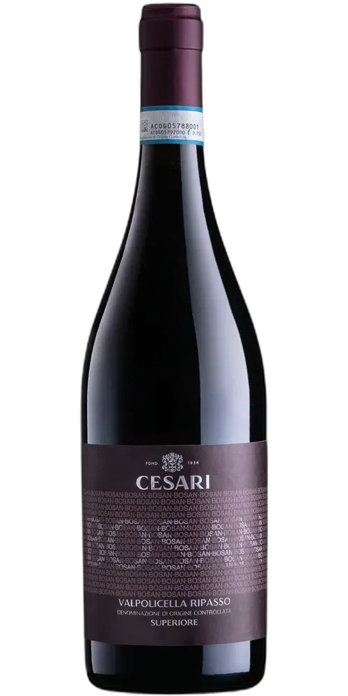 Cesari Bosan Valpolicella Ripasso DOC Superiore